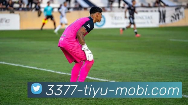 3377体育发展历程