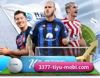 3377体育 APP 深度功能 | 3377Sports